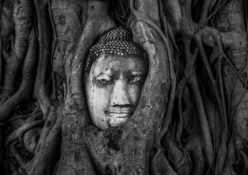 Thai lan yeu du lich 1.9